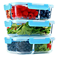 1 & 2 & 3 Compartment Glass Meal Prep Containers with BLUE Lids (3 Pack, 35 oz)