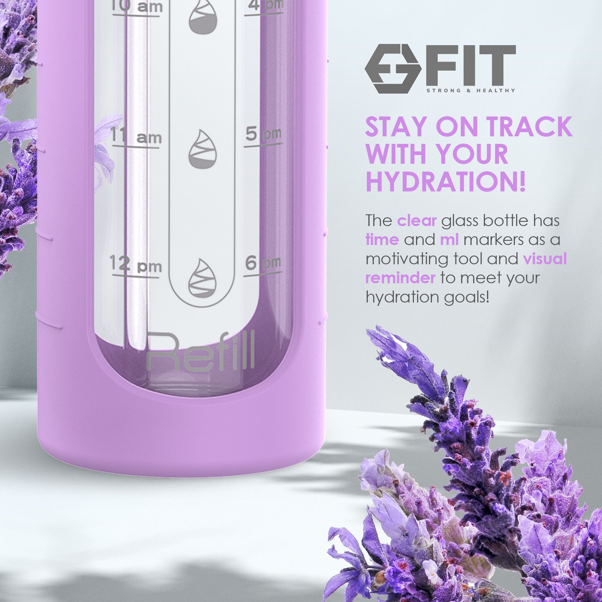 2 & 3 Compartment Glass Meal Prep Containers with LAVENDER Lids (4 Pack, 32 oz) and 32 oz Glass Water Bottle with Time Marker (Lavender) Bundle